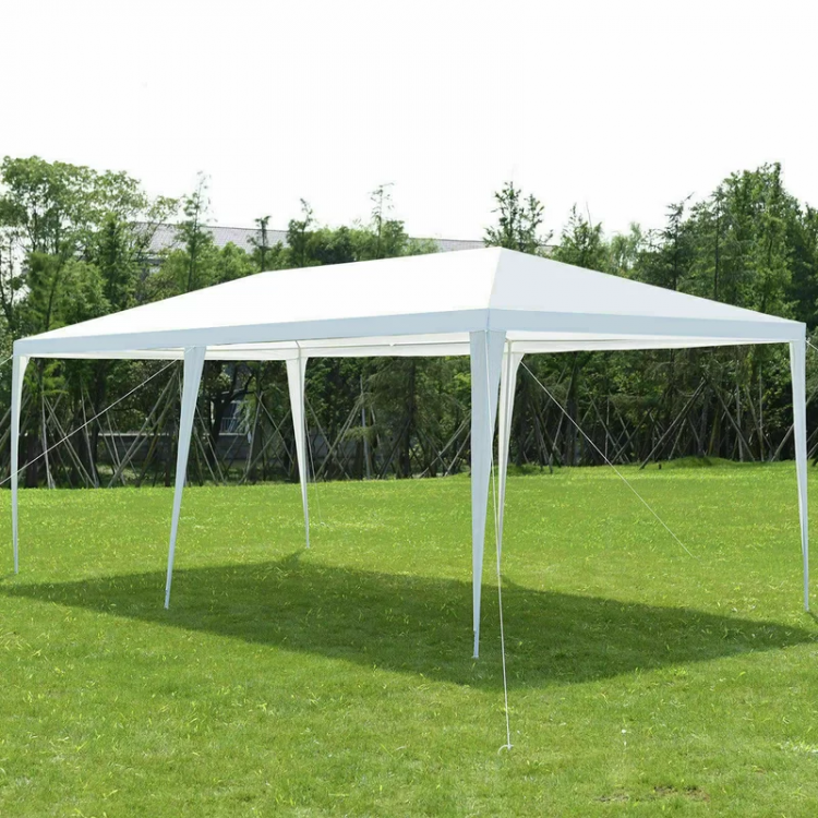 10' x 20 Canopy