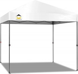 10x10 Canopy