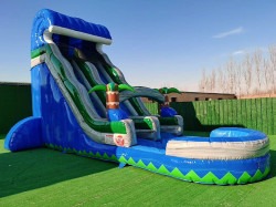 20 FT Blue Tropical Water Slide